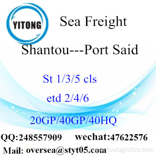 Shantou poort zeevracht verzending naar Port Said